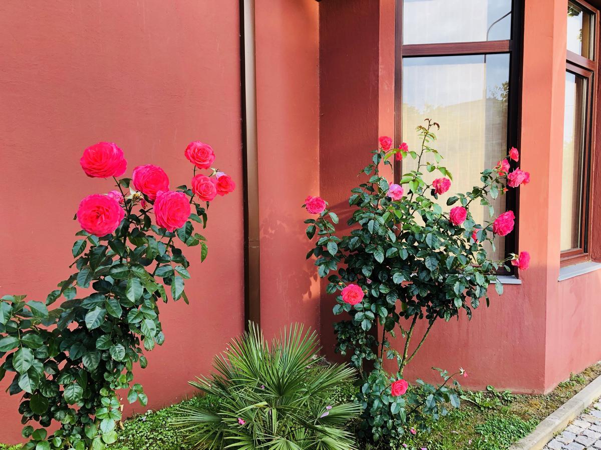 Villa Georgiana 高尼奥 外观 照片